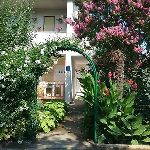 Mirjana , Fazana Croatia